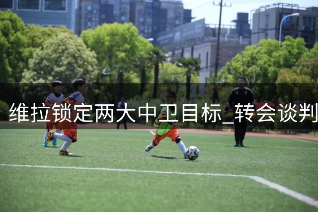 维拉锁定两大中卫目标 转会谈判仍处初级阶段